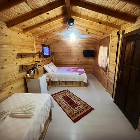 Vrasna 1 Dikili
